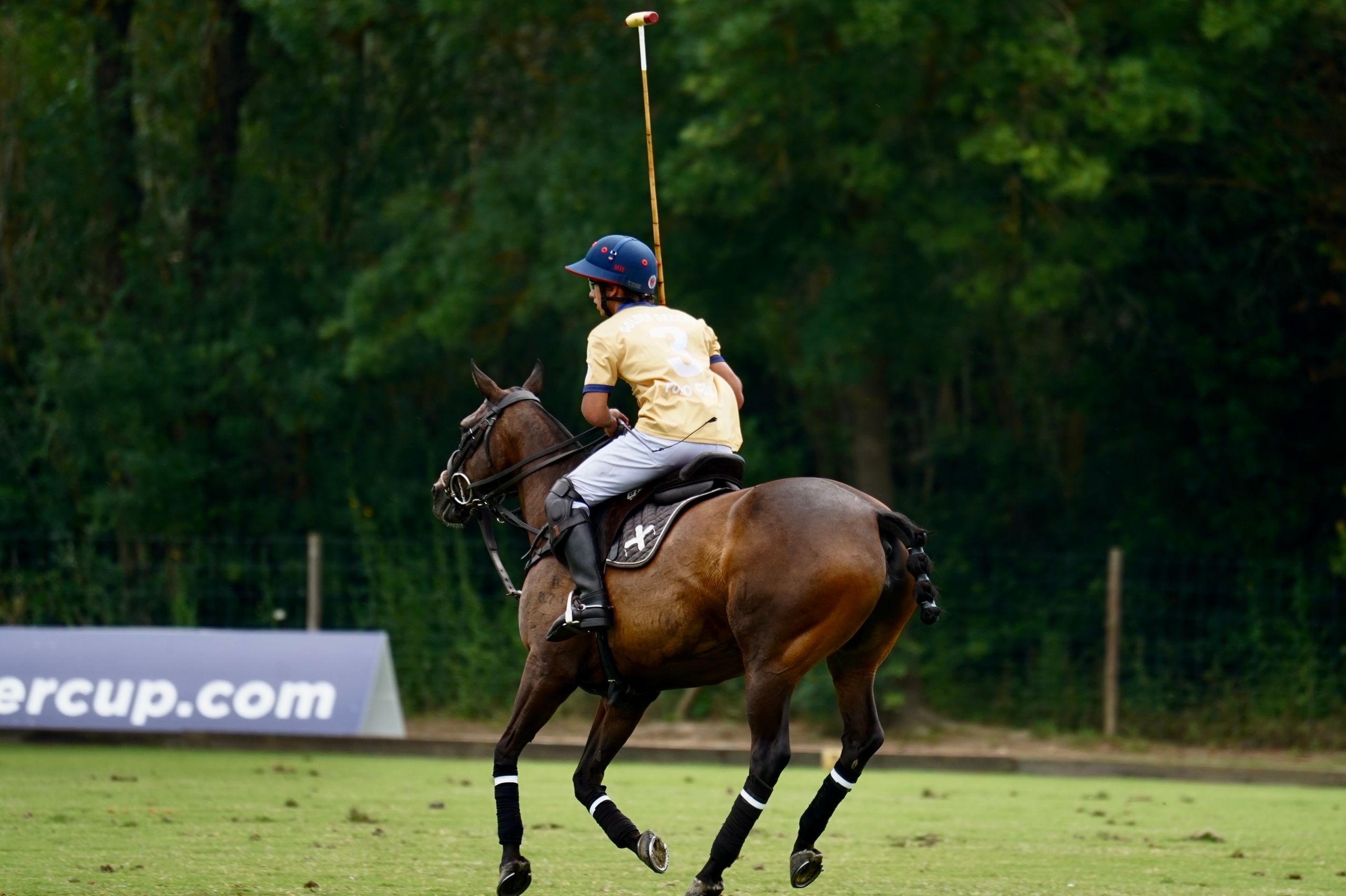 Интервью: Михаил Родзянко - Moscow Polo Club.