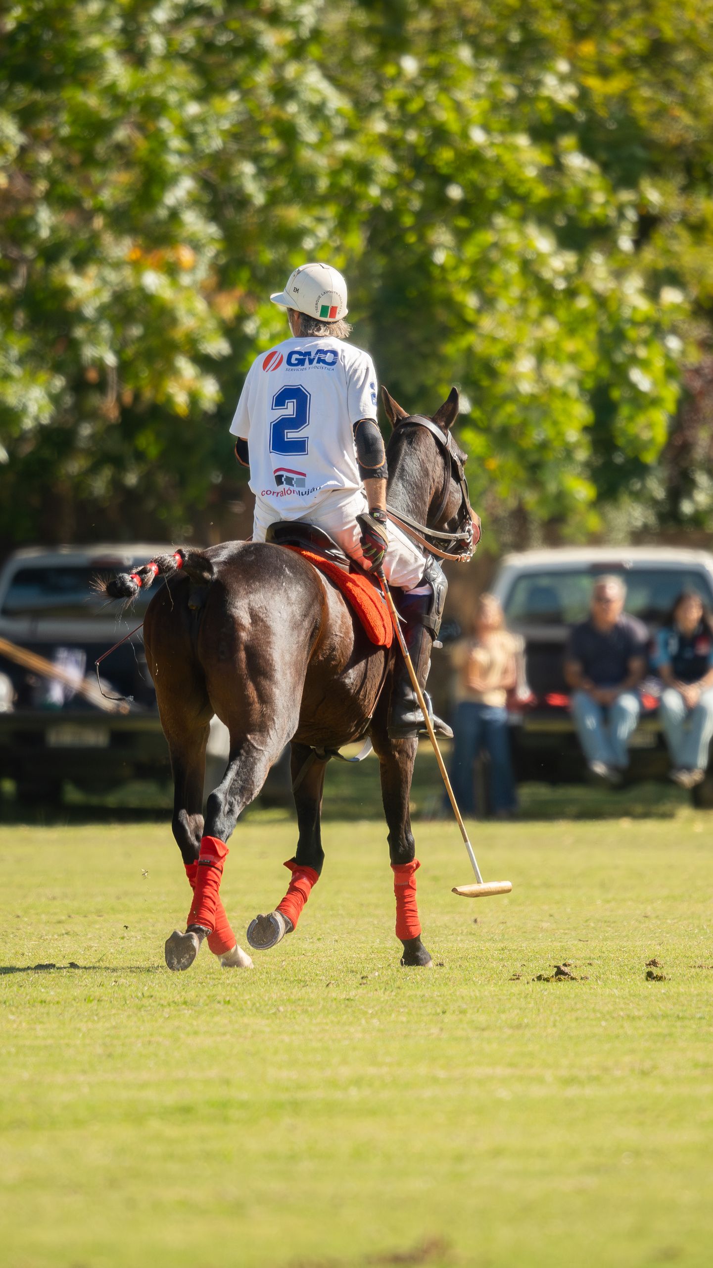 Интервью: Михаил Родзянко - Moscow Polo Club.