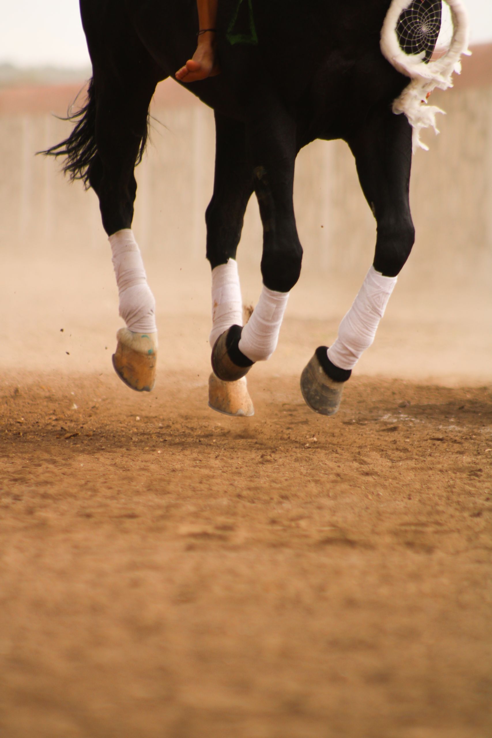 Интервью: Михаил Родзянко - Moscow Polo Club.